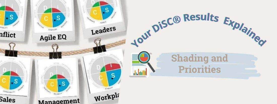 DiSC assess