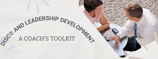 DiSC leadership assessment