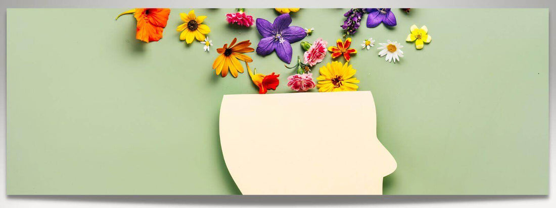 Key Ingredients That Foster a Thriving Organisational Culture encouraging organisational health