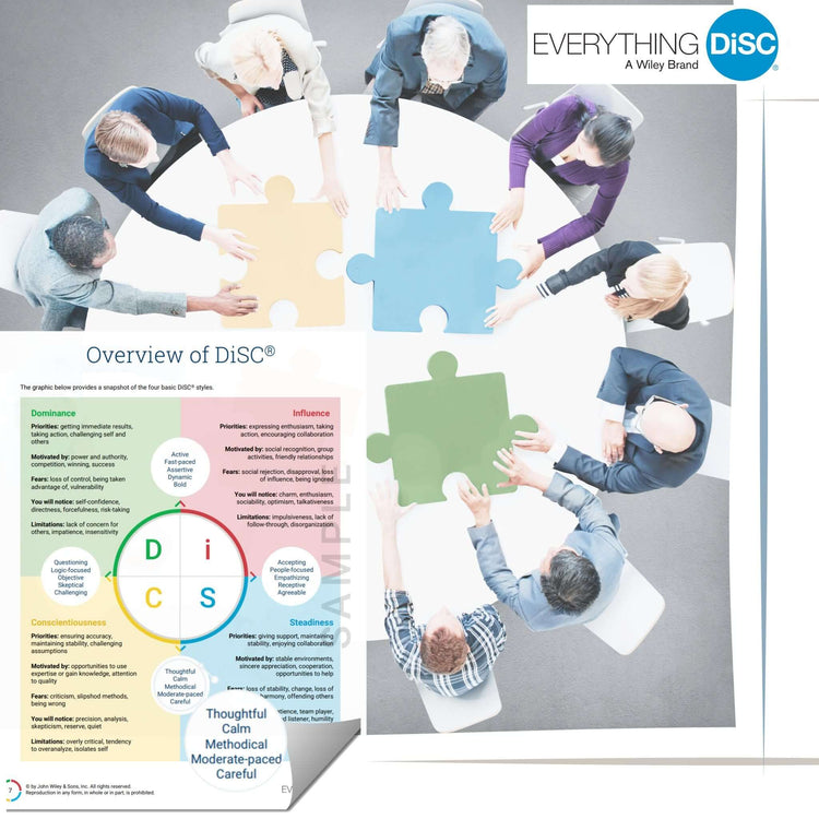 Personality profiling with DiSC for all individual types