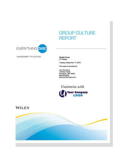 DiSC culture report for indepth team work