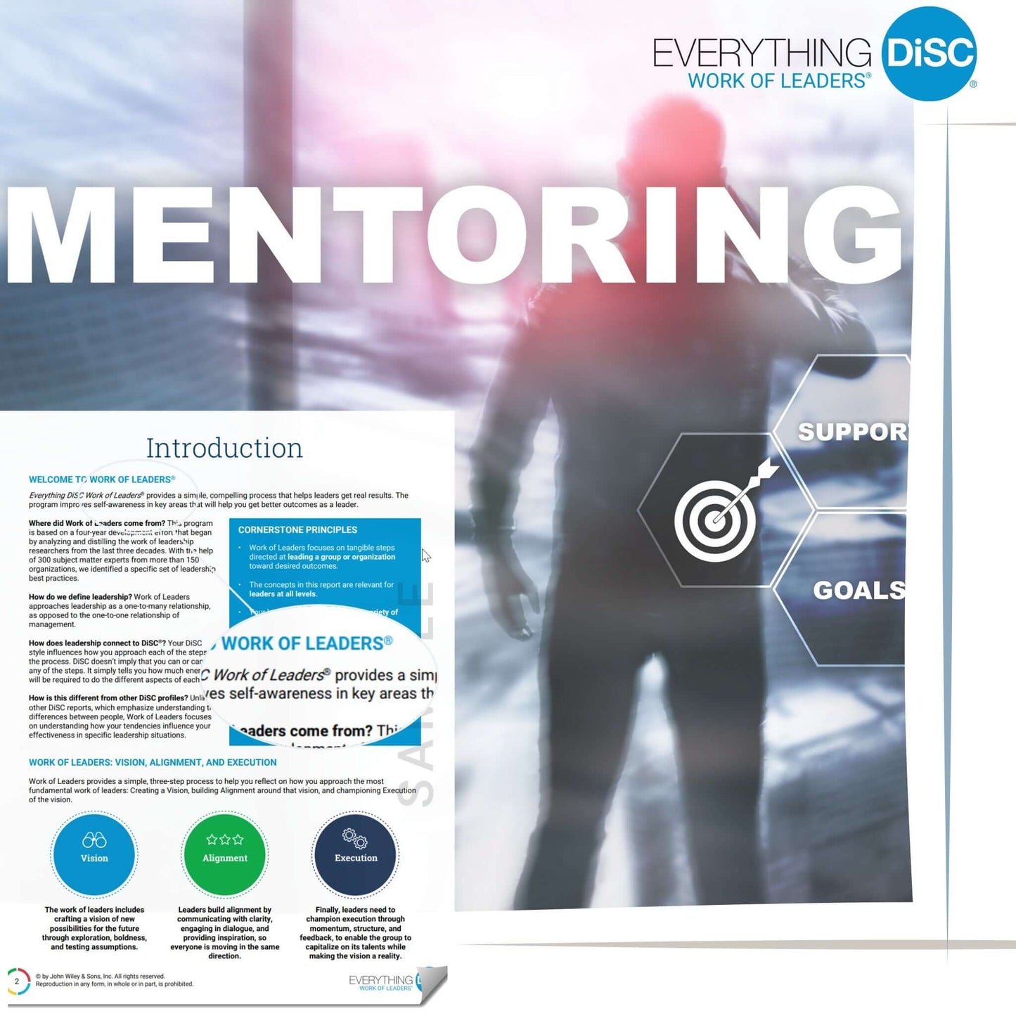 Leadership coaching programme utilising Everything DiSC to establish behaviours 