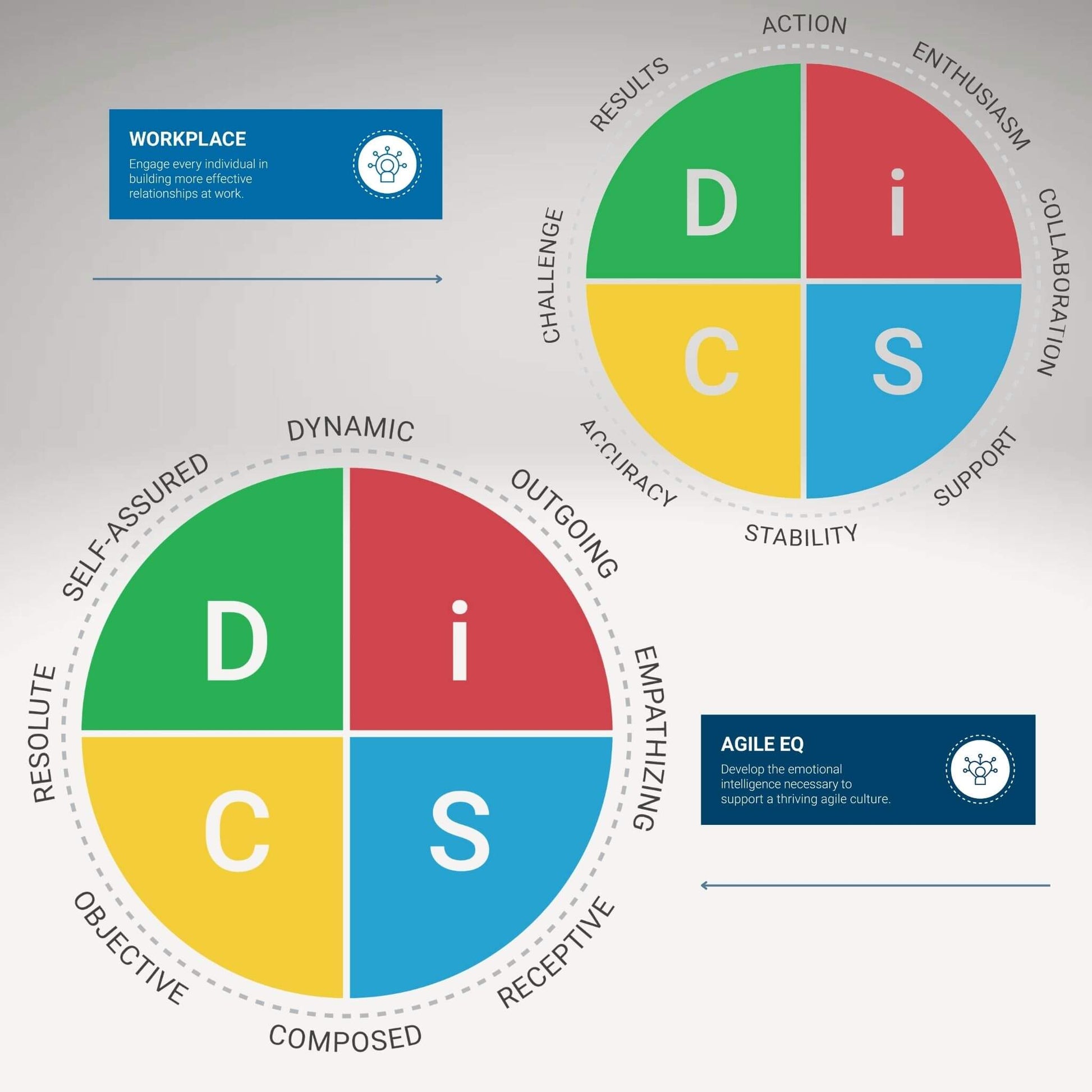 Agile EQ DiSC prioritys